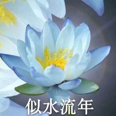中国赠送朱鹮“友友”“洋洋”抵达日本25周年纪念大会在新潟举行